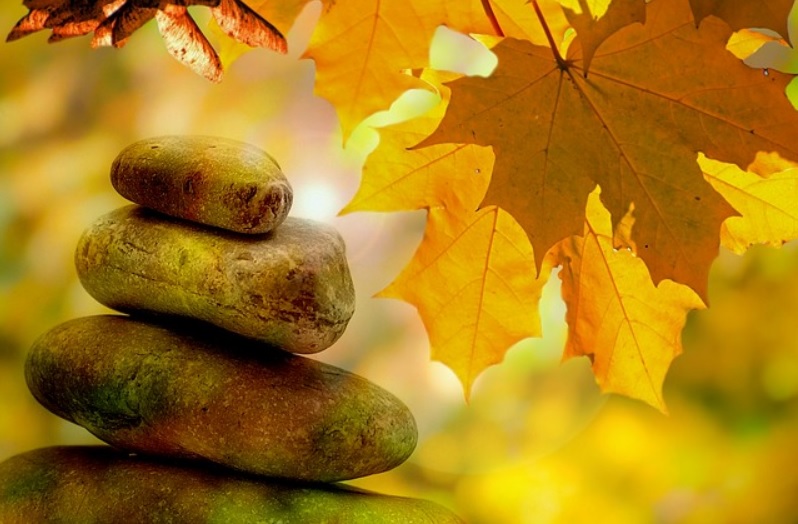 Automne Zen